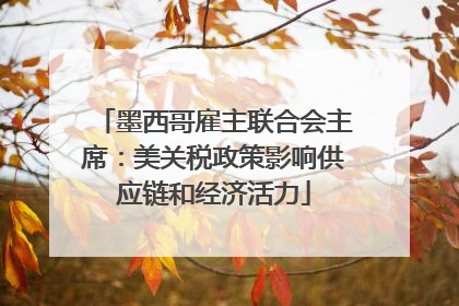 墨西哥雇主联合会主席：美关税政策影响供应链和经济活力
