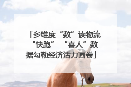 多维度“数”读物流“快跑” “喜人”数据勾勒经济活力画卷
