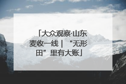 大众观察·山东麦收一线｜“无形田”里有大账