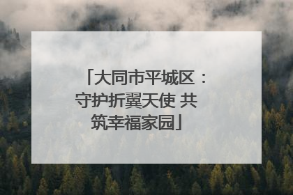 大同市平城区：守护折翼天使 共筑幸福家园