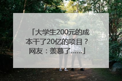 大学生200元的成本干了20亿的项目？网友：羡慕了……