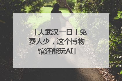 大武汉一日丨免费人少，这个博物馆还能玩AI