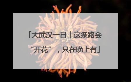 大武汉一日丨这条路会“开花”，只在晚上有
