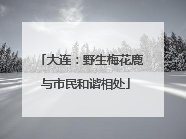 大连：野生梅花鹿与市民和谐相处