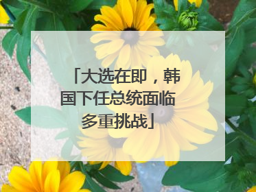 大选在即，韩国下任总统面临多重挑战