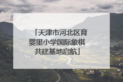 天津市河北区育婴里小学国际象棋共建基地启航