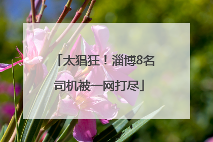 太猖狂！淄博8名司机被一网打尽