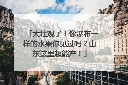 太壮观了！像瀑布一样的水果你见过吗？山东这里超能产！