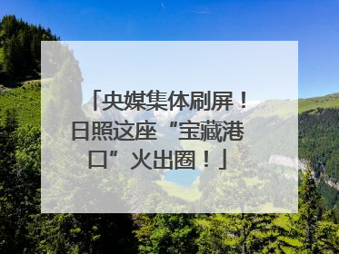 央媒集体刷屏！日照这座“宝藏港口”火出圈！
