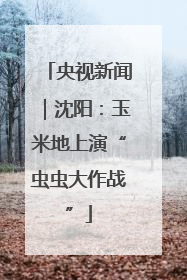 央视新闻｜沈阳：玉米地上演“虫虫大作战”