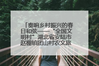 奏响乡村振兴的春日和弦——“全国文明村”湖北省安陆市赵棚镇团山村农文旅融合发展见闻