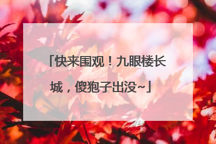 快来围观！九眼楼长城，傻狍子出没~