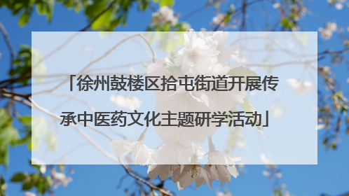 徐州鼓楼区拾屯街道开展传承中医药文化主题研学活动