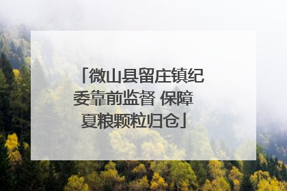 微山县留庄镇纪委靠前监督 保障夏粮颗粒归仓