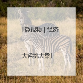 微视频｜经济大省挑大梁