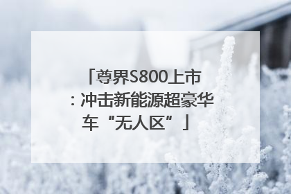 尊界S800上市：冲击新能源超豪华车“无人区”