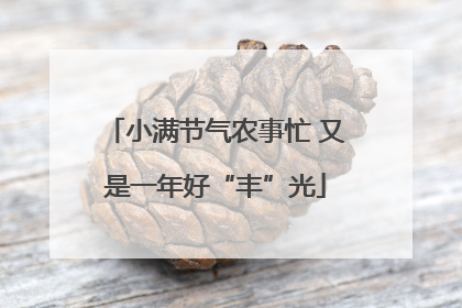 小满节气农事忙 又是一年好“丰”光