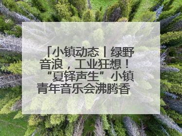 小镇动态丨绿野音浪，工业狂想！“夏铎声生”小镇青年音乐会沸腾香山竹海