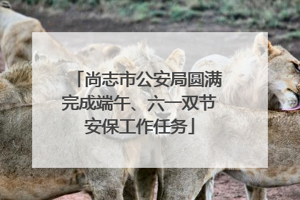 尚志市公安局圆满完成端午、六一双节安保工作任务