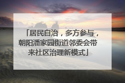 居民自治，多方参与，朝阳潘家园街道邻委会带来社区治理新模式