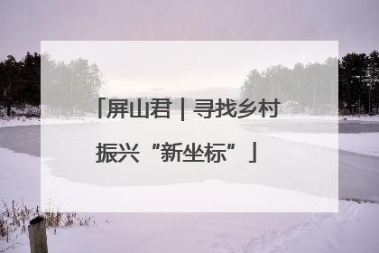屏山君｜寻找乡村振兴“新坐标”