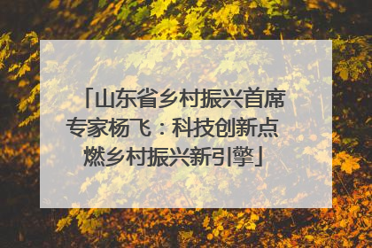 山东省乡村振兴首席专家杨飞：科技创新点燃乡村振兴新引擎
