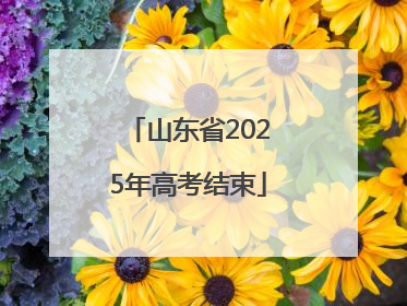 山东省2025年高考结束