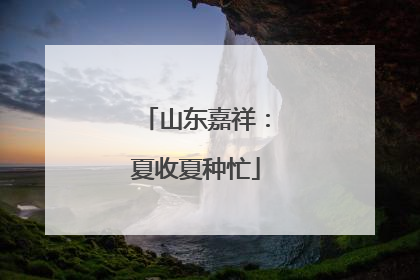 山东嘉祥：夏收夏种忙