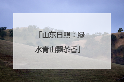 山东日照：绿水青山飘茶香