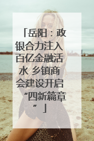 岳阳：政银合力注入百亿金融活水 乡镇商会建设开启“四新篇章”