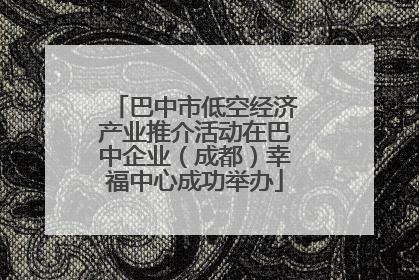 巴中市低空经济产业推介活动在巴中企业（成都）幸福中心成功举办