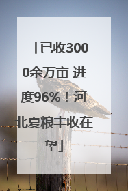已收3000余万亩 进度96%！河北夏粮丰收在望