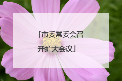 市委常委会召开扩大会议