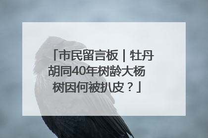 市民留言板｜牡丹胡同40年树龄大杨树因何被扒皮？