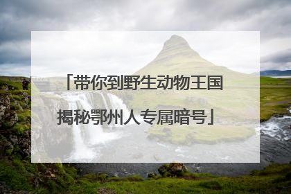带你到野生动物王国揭秘鄂州人专属暗号