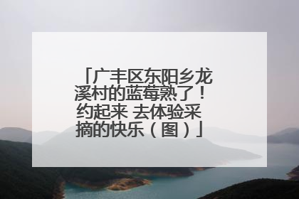 广丰区东阳乡龙溪村的蓝莓熟了！约起来 去体验采摘的快乐（图）
