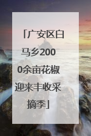 广安区白马乡2000余亩花椒迎来丰收采摘季