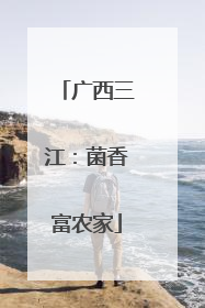 广西三江：菌香富农家