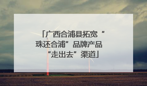 广西合浦县拓宽“珠还合浦”品牌产品“走出去”渠道