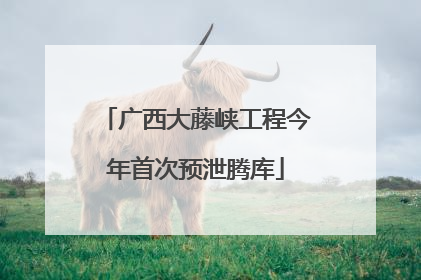 广西大藤峡工程今年首次预泄腾库
