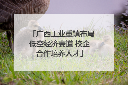 广西工业重镇布局低空经济赛道 校企合作培养人才
