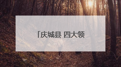 庆城县 四大领域同步发力 项目建设赋能发展