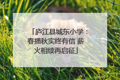 庐江县城东小学：春播秋实终有信 薪火相续再启征