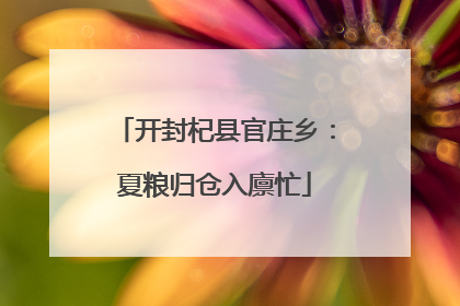 开封杞县官庄乡：夏粮归仓入廪忙