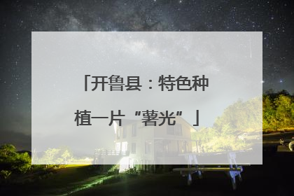 开鲁县：特色种植一片“薯光”