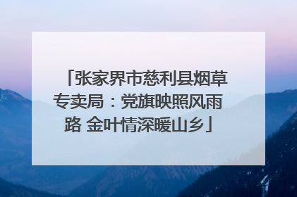 张家界市慈利县烟草专卖局：党旗映照风雨路 金叶情深暖山乡