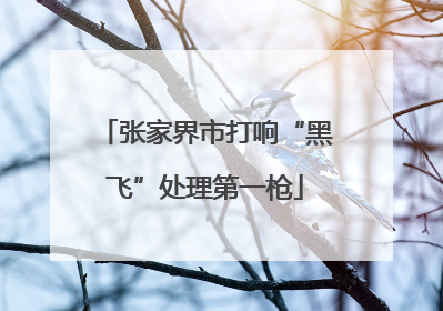 张家界市打响“黑飞”处理第一枪