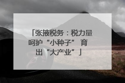 张掖税务：税力量呵护“小种子” 育出“大产业”