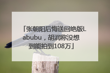 张朝阳后悔送回绝版Labubu，胡润称没想到能拍到108万