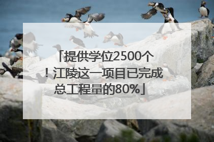 提供学位2500个！江陵这一项目已完成总工程量的80%